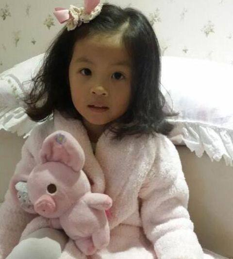 曝董卿周涛春晚有望搭档，两人的合作都能带来