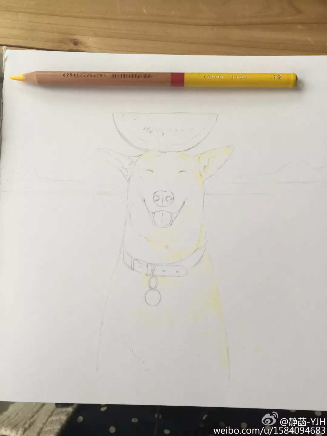 彩鉛動物入門教程｜可愛逗B狗(馬可帶色號)