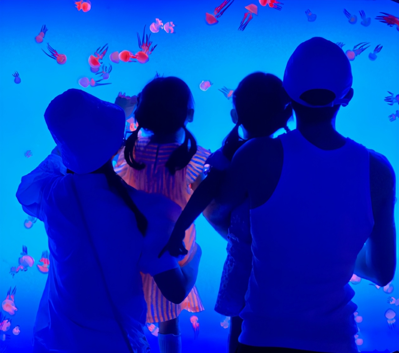 謝娜40歲生日張傑玩配音表白，結婚10年重現求婚場景甜蜜依舊