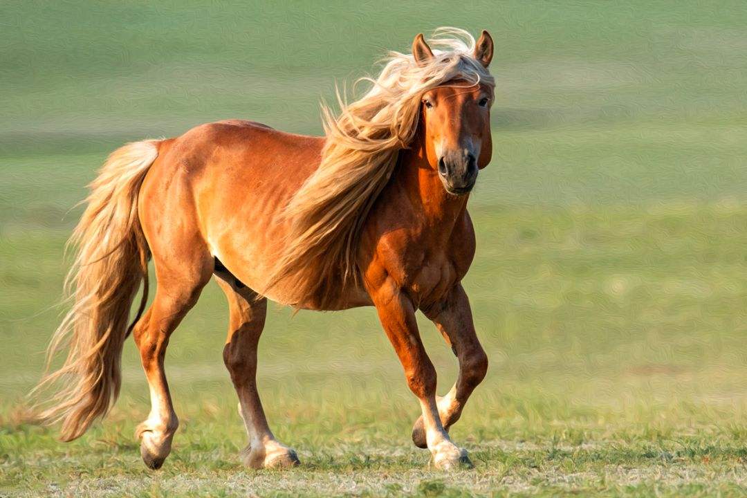 古代六大名馬，赤兔、的盧在列，秦叔寶的“透骨龍”是什么馬？