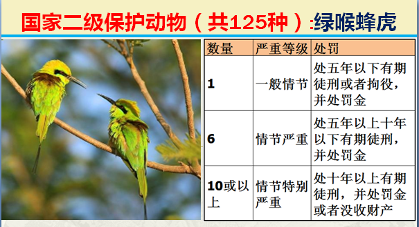 国家最新125类二级野生保护名录，图片及违法对应刑责