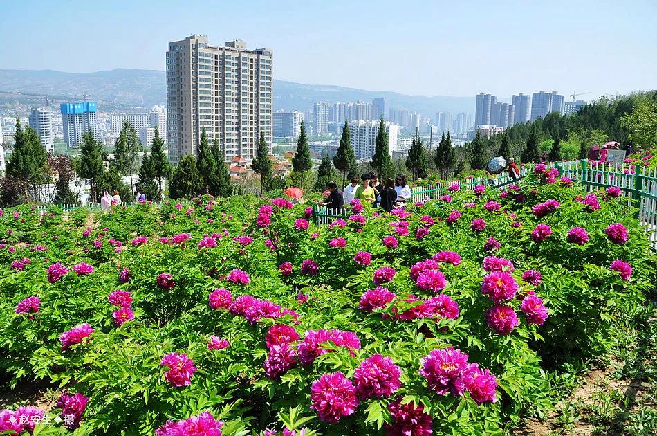 秦州区成功创建为省级全域旅游示范区，一起为美丽家乡点赞