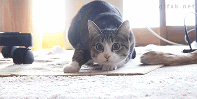 豆瓣9.0，风靡岛国十年，国民女神集体为它沦陷