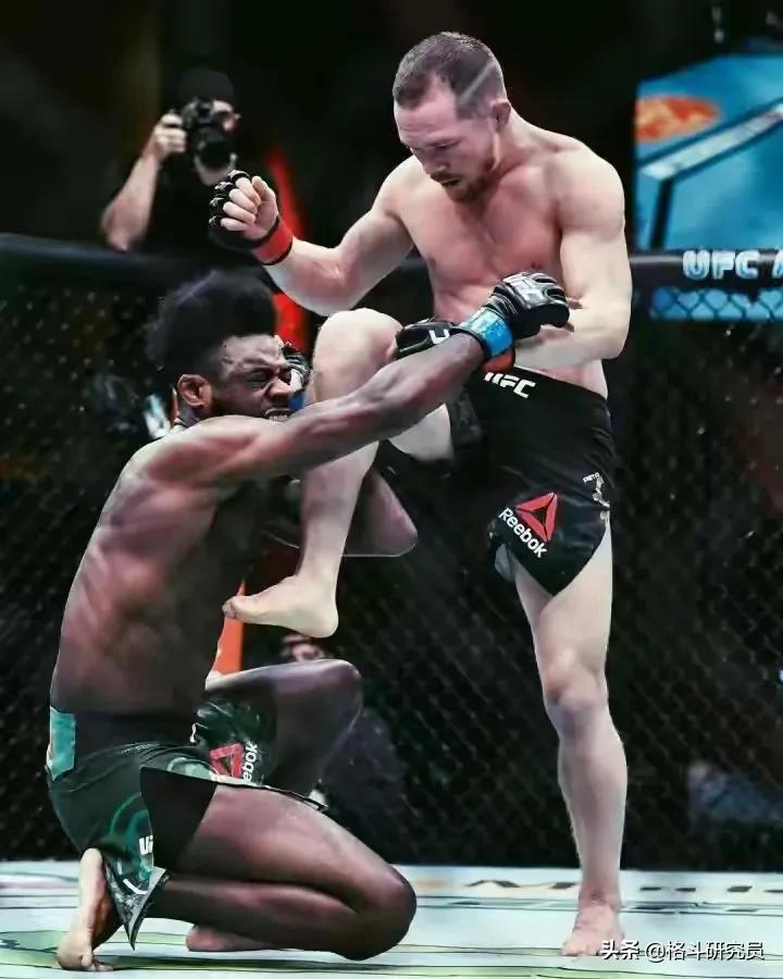「知識」UFC小白入坑指南：帶你看懂UFC比賽，感受格鬥的魅力 - 頭條匯