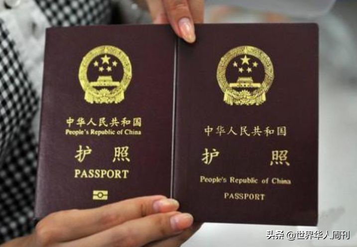 美女在澳洲专骗中国留学生：为何在海外最坑中国人的总是同胞？