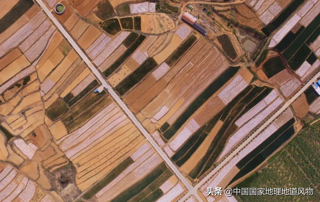 Person of 100 million Shandong, it is the child of the steamed bread