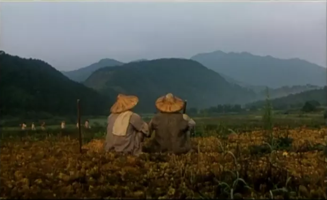 华语电影的巅峰之作，豆瓣高分9.0，台湾版的《悲惨世界》