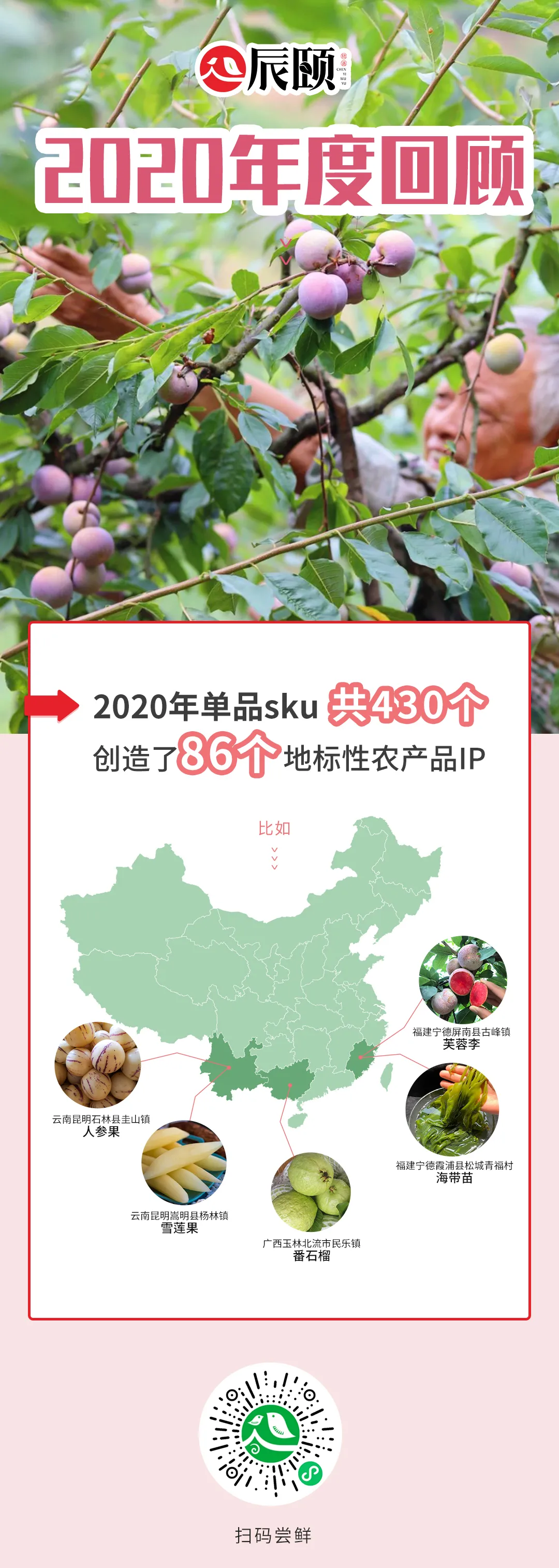 åé¡¾2020ï¼è¾°é¢ç©è¯­é½å¹²äºè¿äºå¤§äº