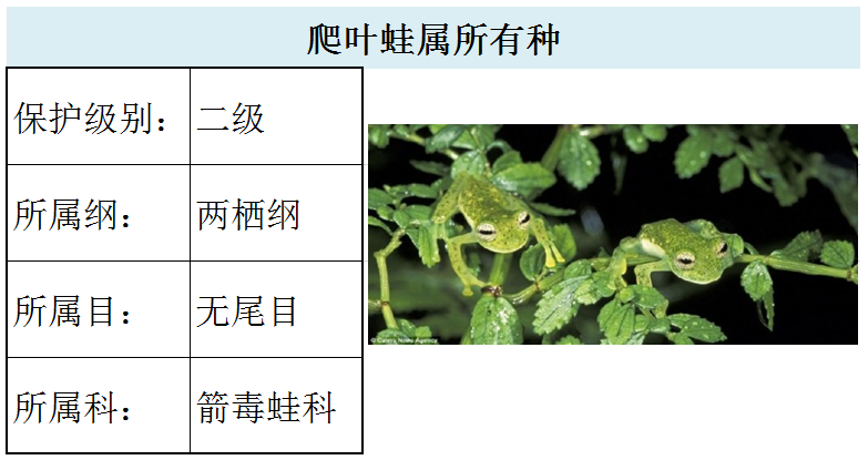 国家最新水生野生保护动物名录（共计三百余种），第2期