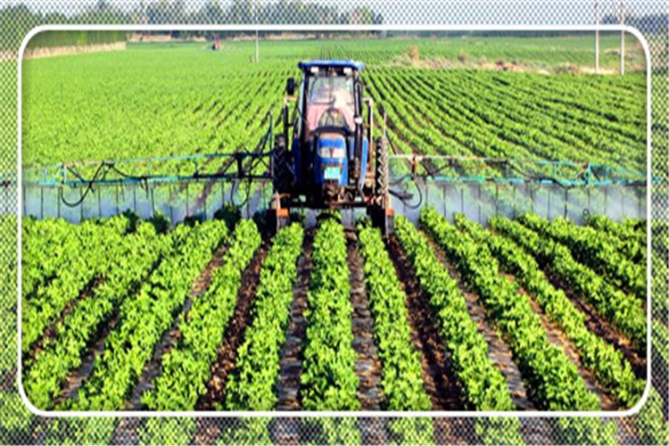 一个38岁的人在农村，有哪些好的发展出路呢？分析一下