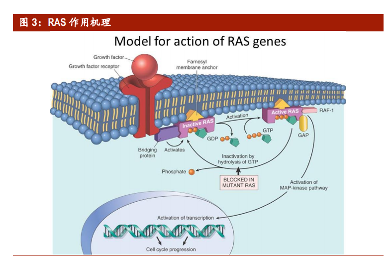 ����������ҵ��ȱ��棺ǧ���г����п�Ϊ
