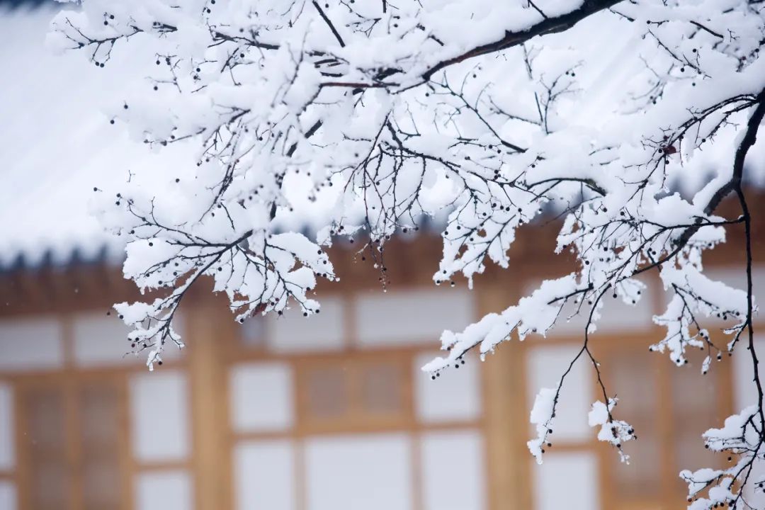 40位知名诗人，一人一句雪的诗词，治愈了整个冬天-第5张图片-诗句网