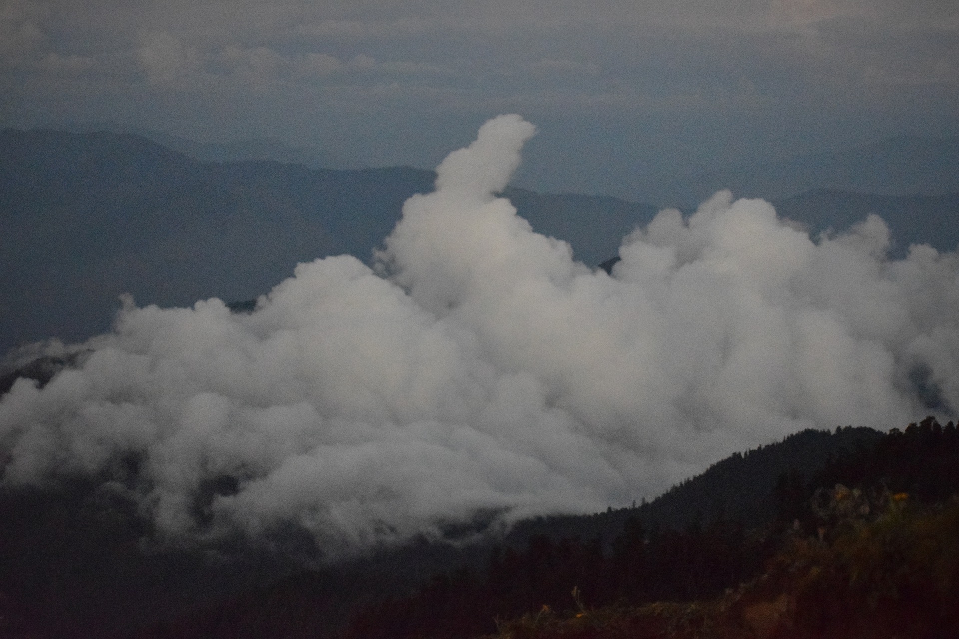 做京喜无货源店铺。如何从日出10单做到日出1000单？