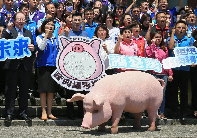 兩岸輕語：台灣能否"和平統一"得從現實角度考慮，大陸還要再讓島內統派失望？