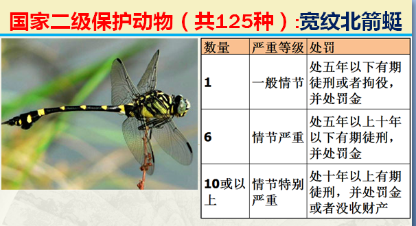 国家最新125类二级野生保护名录，图片及违法对应刑责