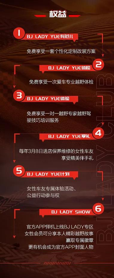 大河报汽车网
