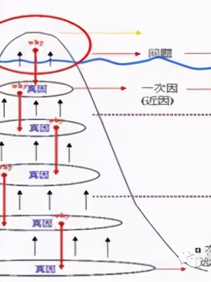 「精益學堂」5S管理｜整合版