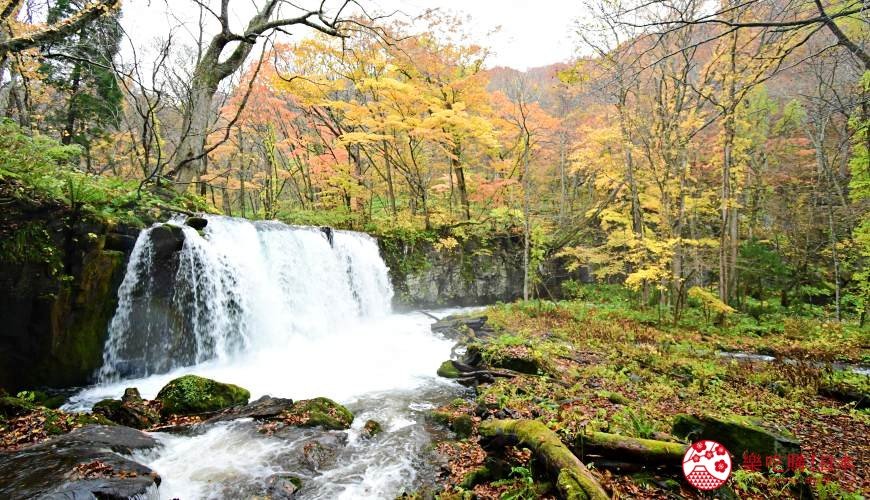 青森 秋田 岩手自由行 十和田湖超美枫叶 Diy梦幻葫芦灯 乐吃购到日本 Mdeditor