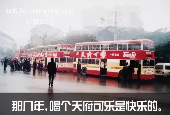 引进国际资本的血泪教训，终于明白华为、老干妈为什么不上市了