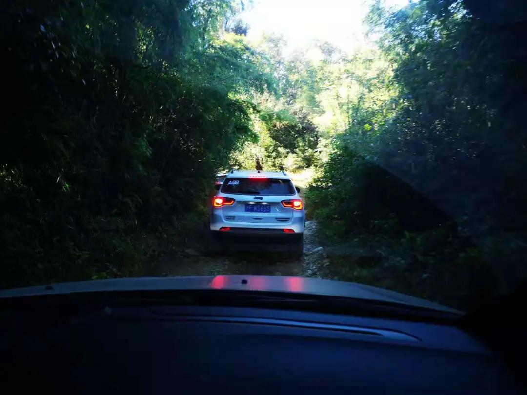 不到20万元的坦克300、指南者、奇骏都是好选择