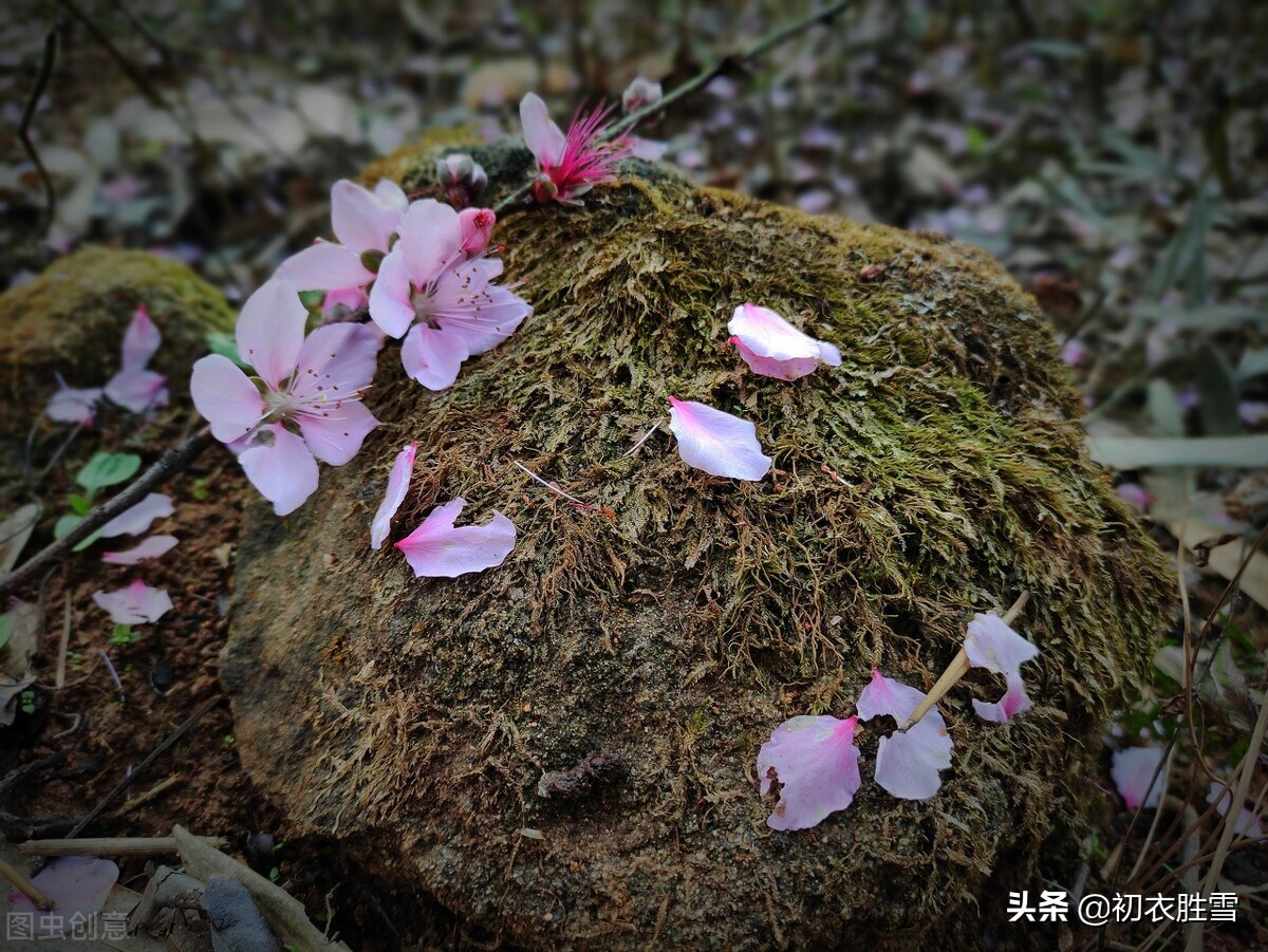 9 Beautiful Sentences in Late Spring, Qingming March Festival, April ...