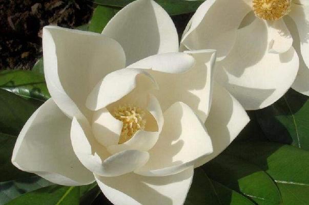 “Ĵ”֮⣬㻹֪ĸ