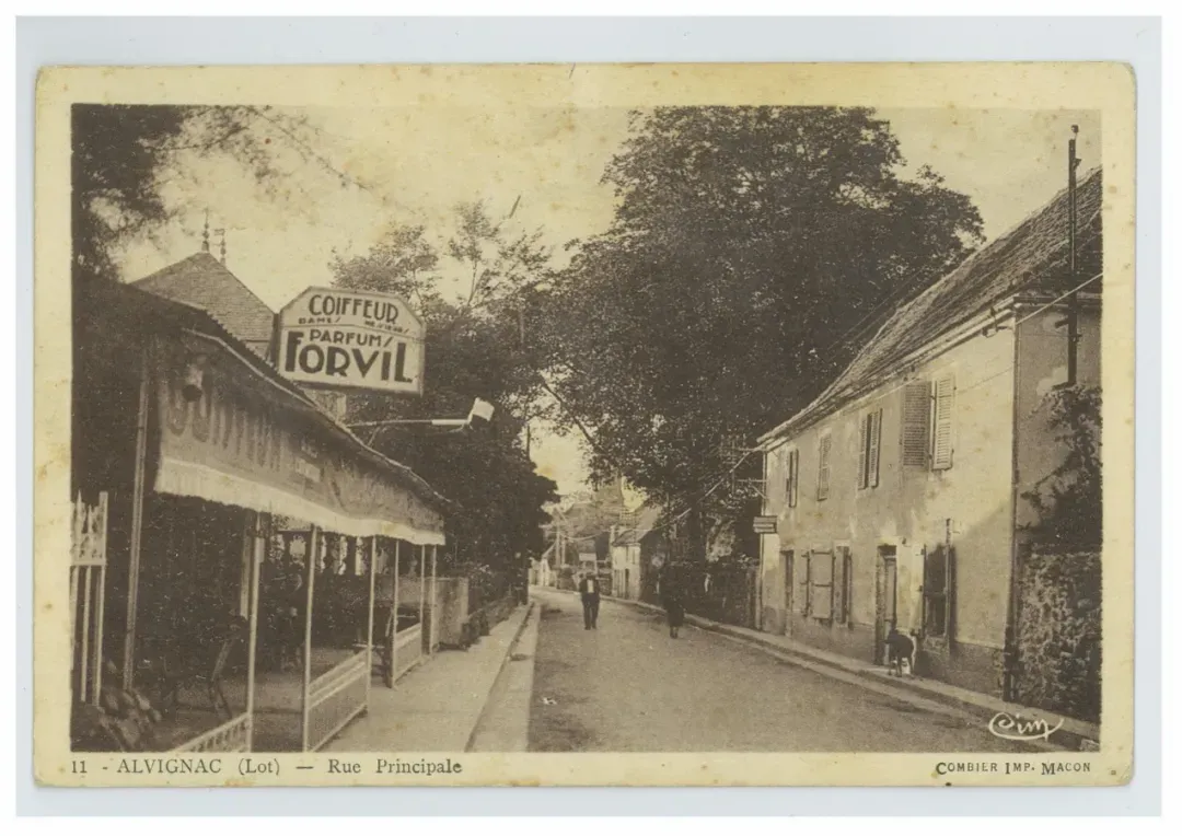 温莎森林携手井柏然，代言人整合营销实力出圈