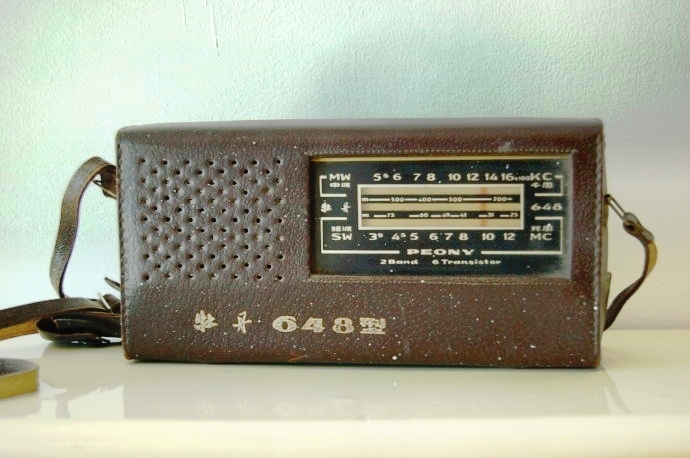 建国后大案纪实：中国最终一个女飞贼，1971年在山西被击毙