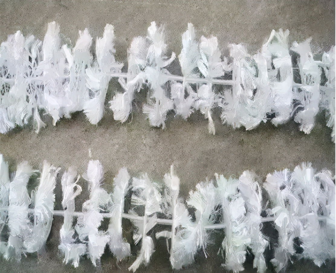 11ˮϵ;ܶԱȣǳʵ