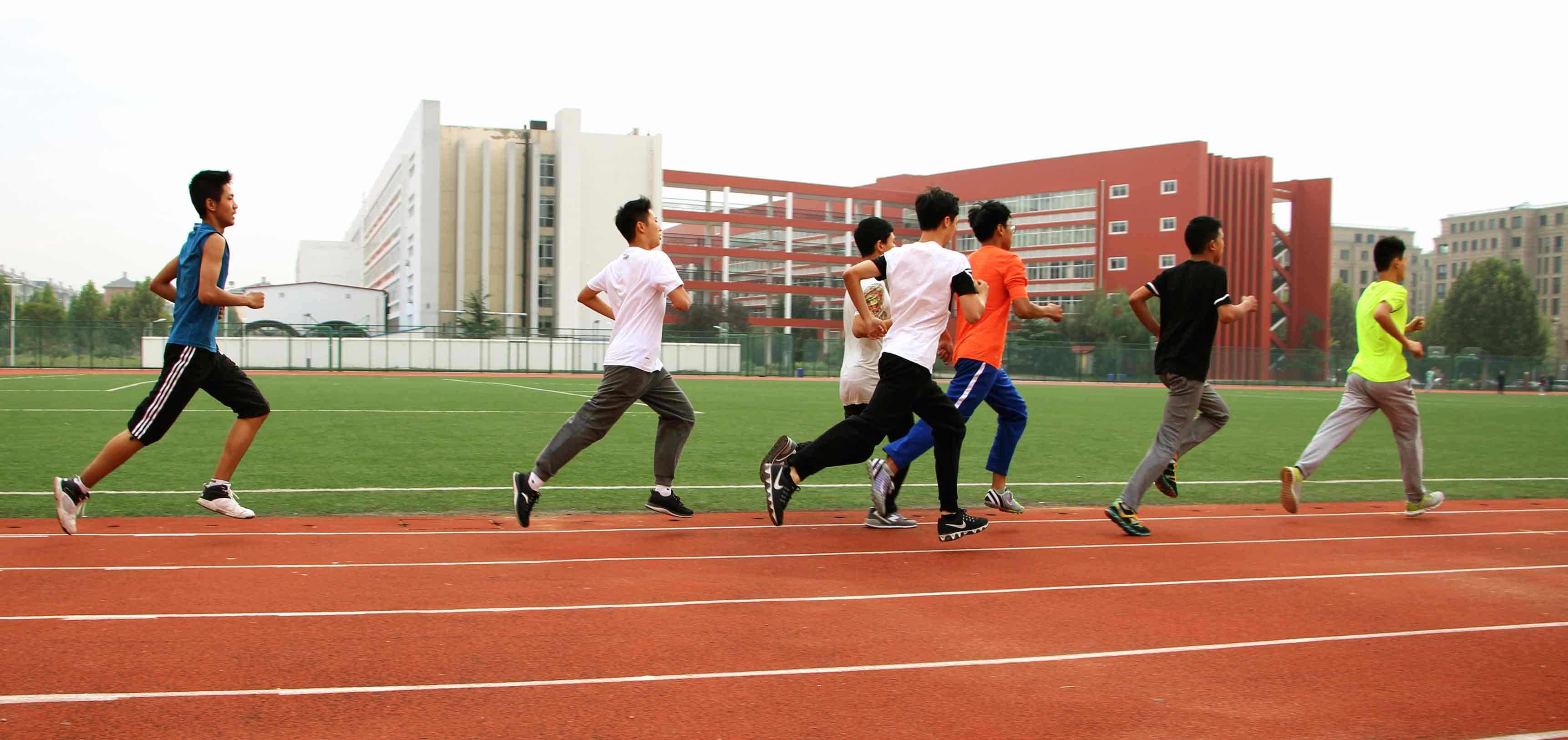 公司深度 - 蒙马财经