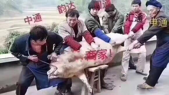 包邮不香吗？配送界“爱马仕”京尊达，给消费