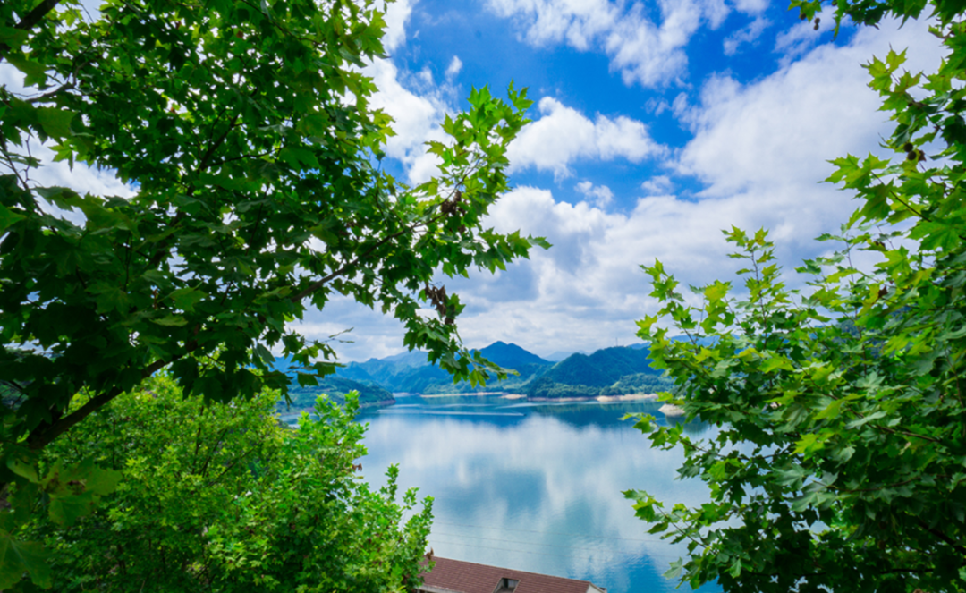 夏景的诗词