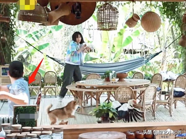 彩灯追赶张子枫时，谁注意彭昱畅的举动？怕是