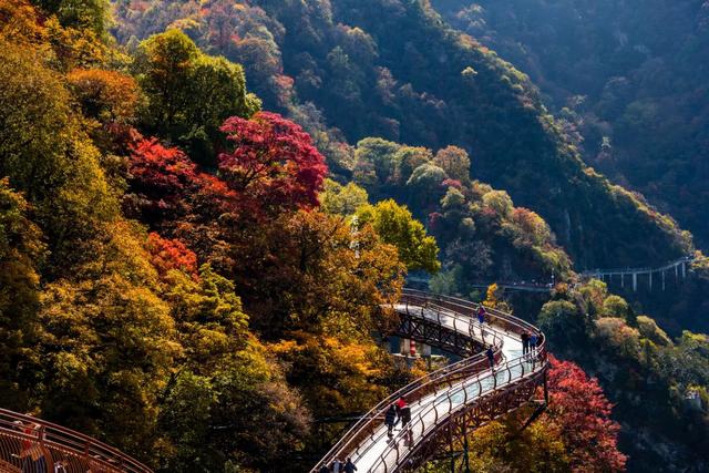 9月2日 渭南文化旅游資訊微報(bào)（組圖）