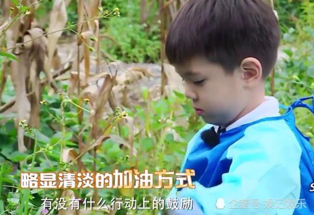 杜江儿子嗯哼“整容式”长大的秘密