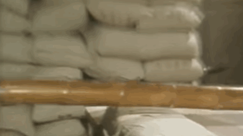 九龙城寨：亚洲最大的贫民窟，在香港矗立了164年的“罪恶之城”