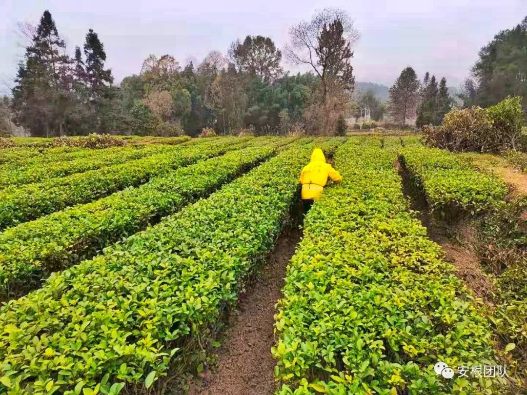 农村产业融合发展相关理论