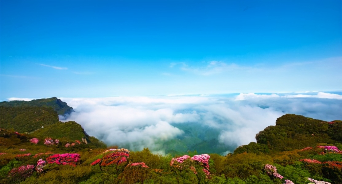 盘点重庆的9个5A景区，你去过几个？