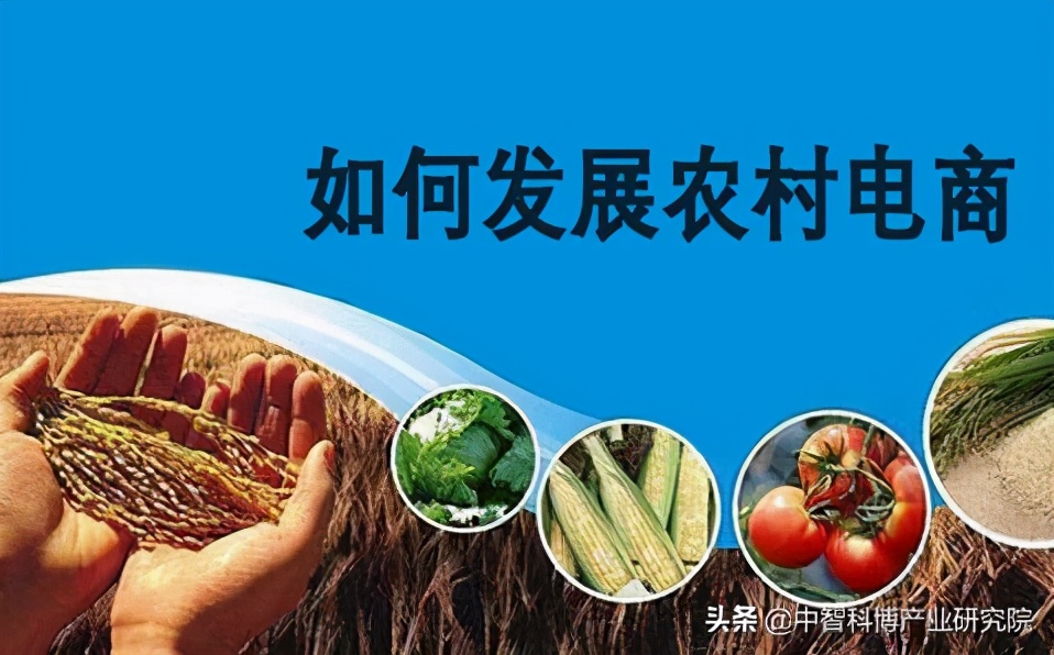 农村电商助力乡村振兴腾飞