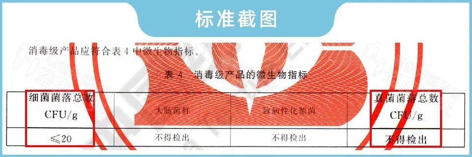 一次性内裤真的能直接穿吗？我们把这些内裤扒了个底朝天