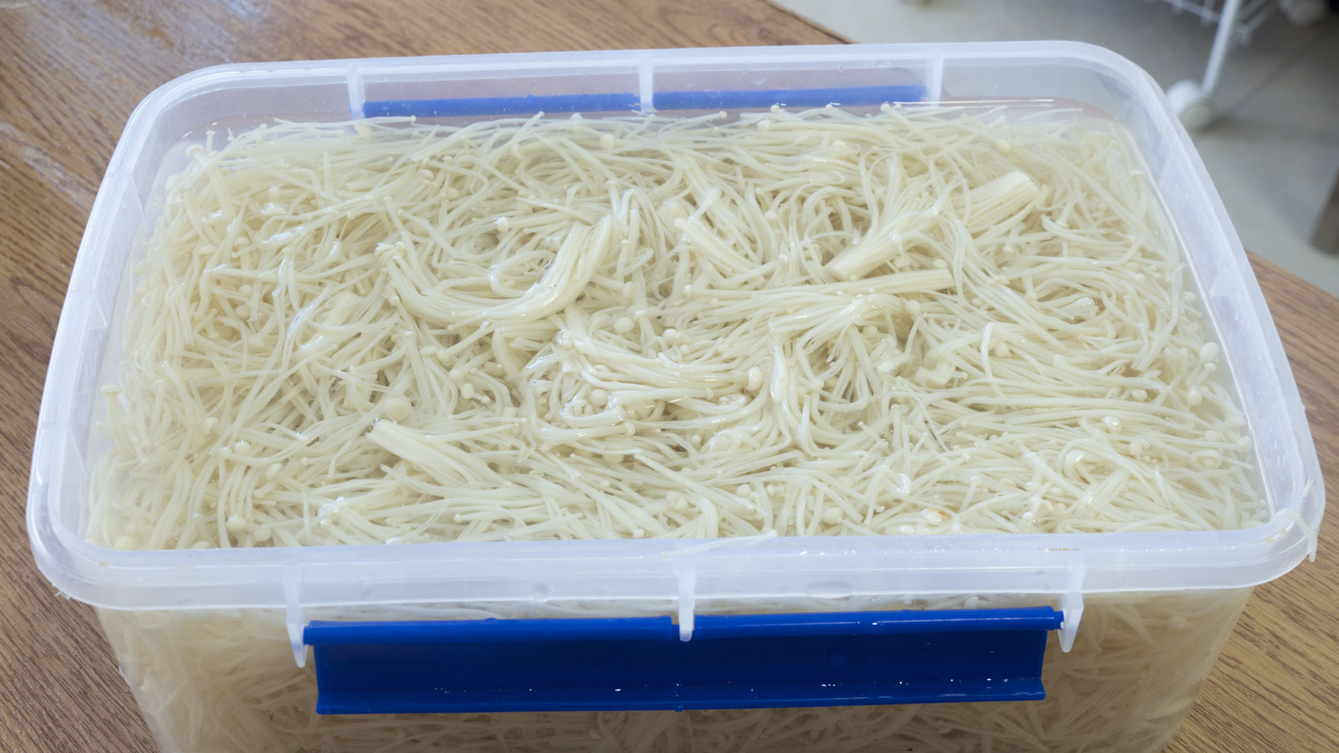 金针菇保存不要直接放冰箱，这样保存，放一个月照样好吃，真实用