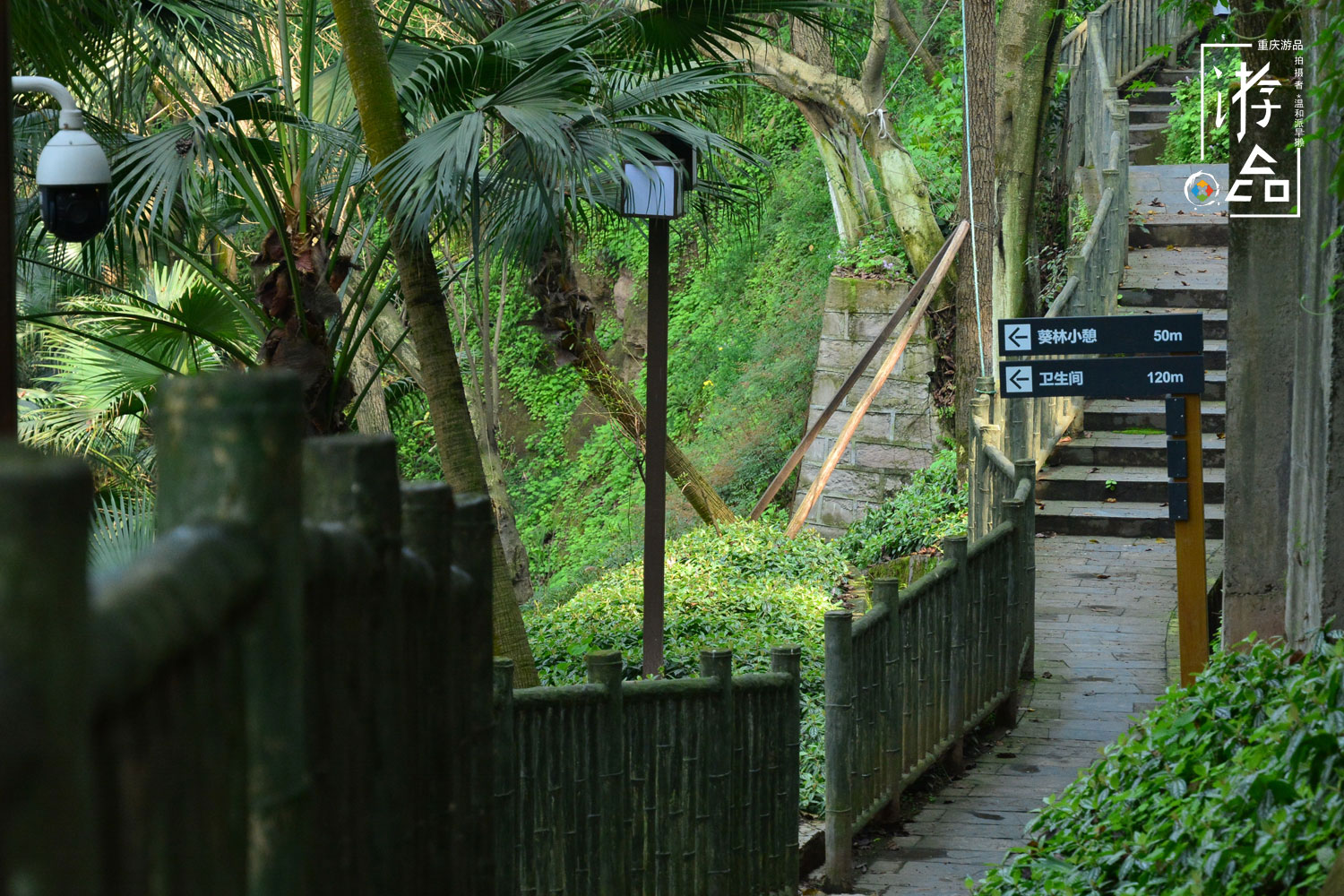 重庆百年古迹被毁，只为建职业教育中心，佛图关再无夜雨寺