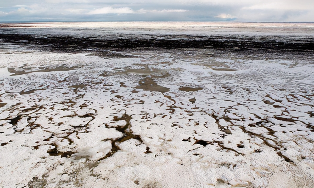 為了永生，俄科學家注射350萬年前的細菌，還找女模特陪同