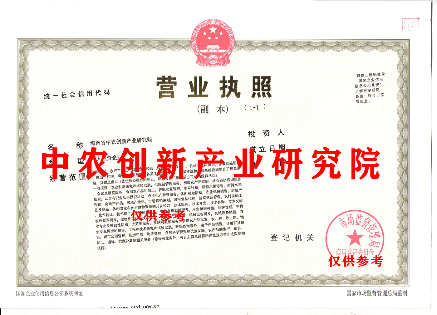 海南省，研究院，公司简介