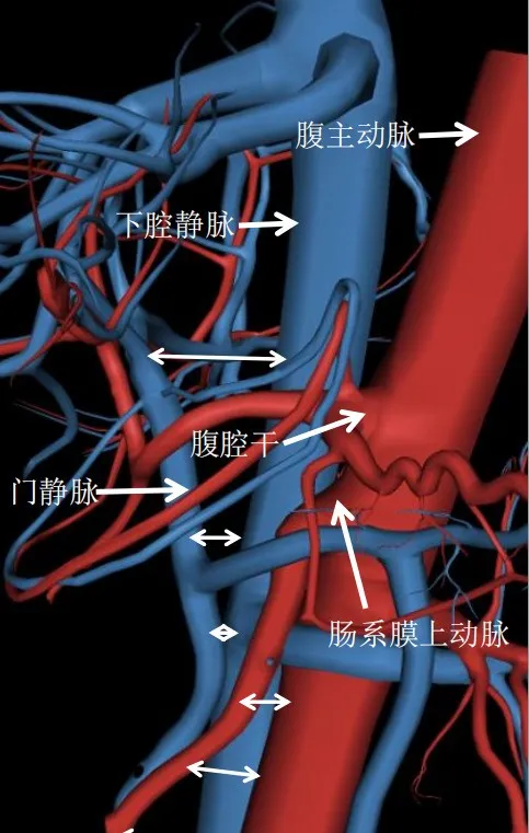 腹部影像学解剖图谱，拿走不谢