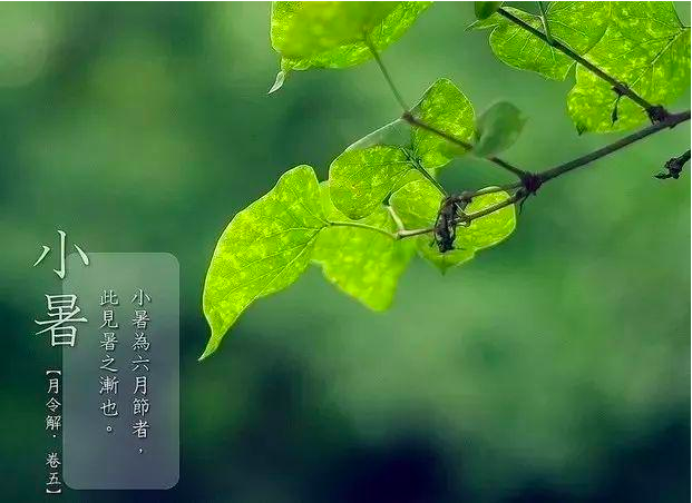 小暑将至，老话“小暑热得透，大暑凉飕飕”，今年啥时候最热？