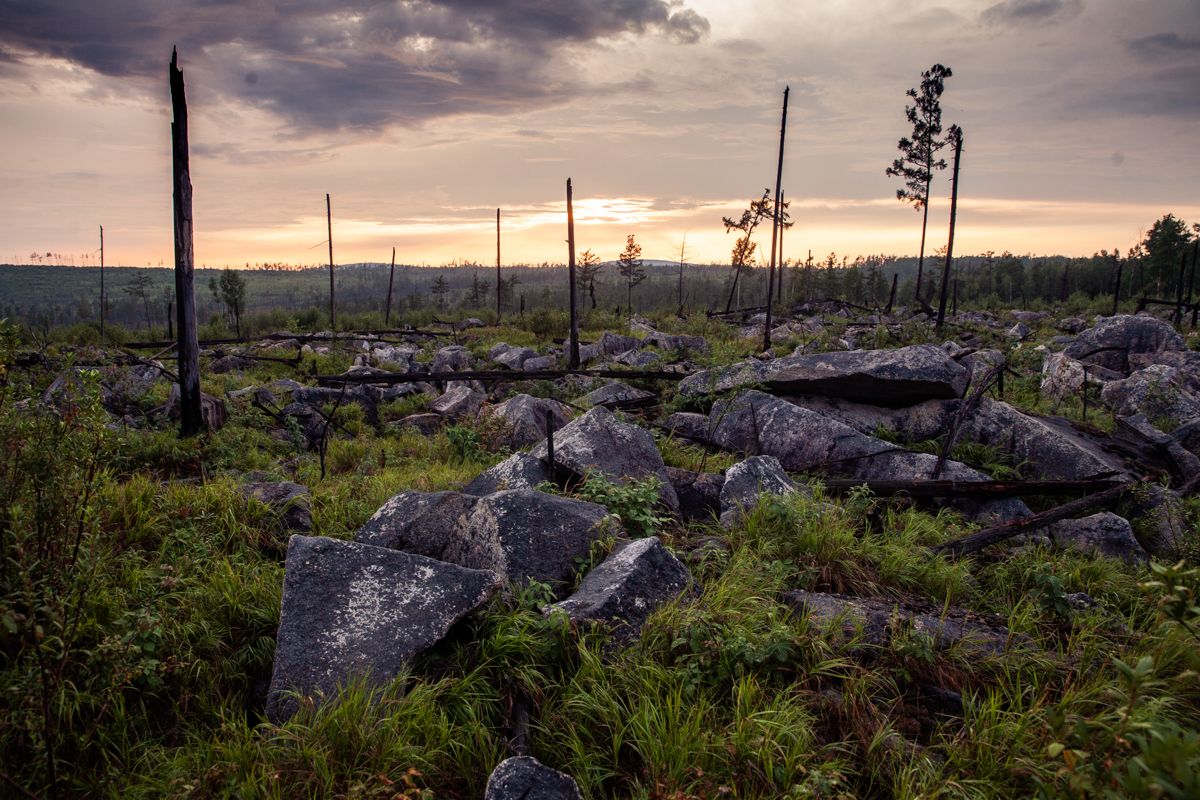 苏联妹子蜜月归来，遇空难直坠5000米，独自生还获赔75卢布