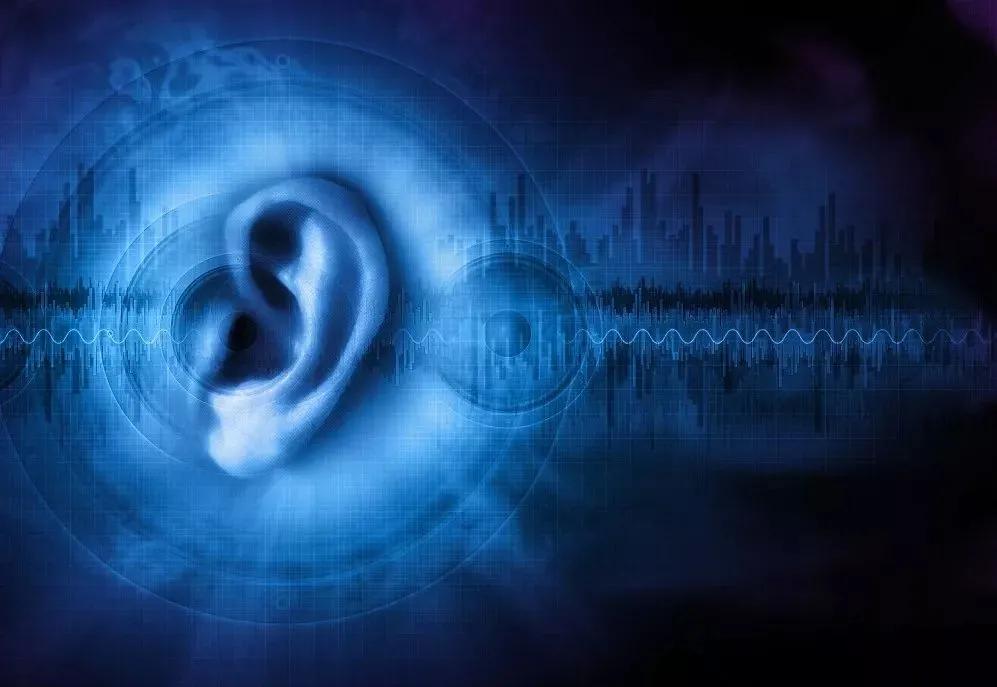 智能音箱：厂商把它当阵地，用户把它当玩具