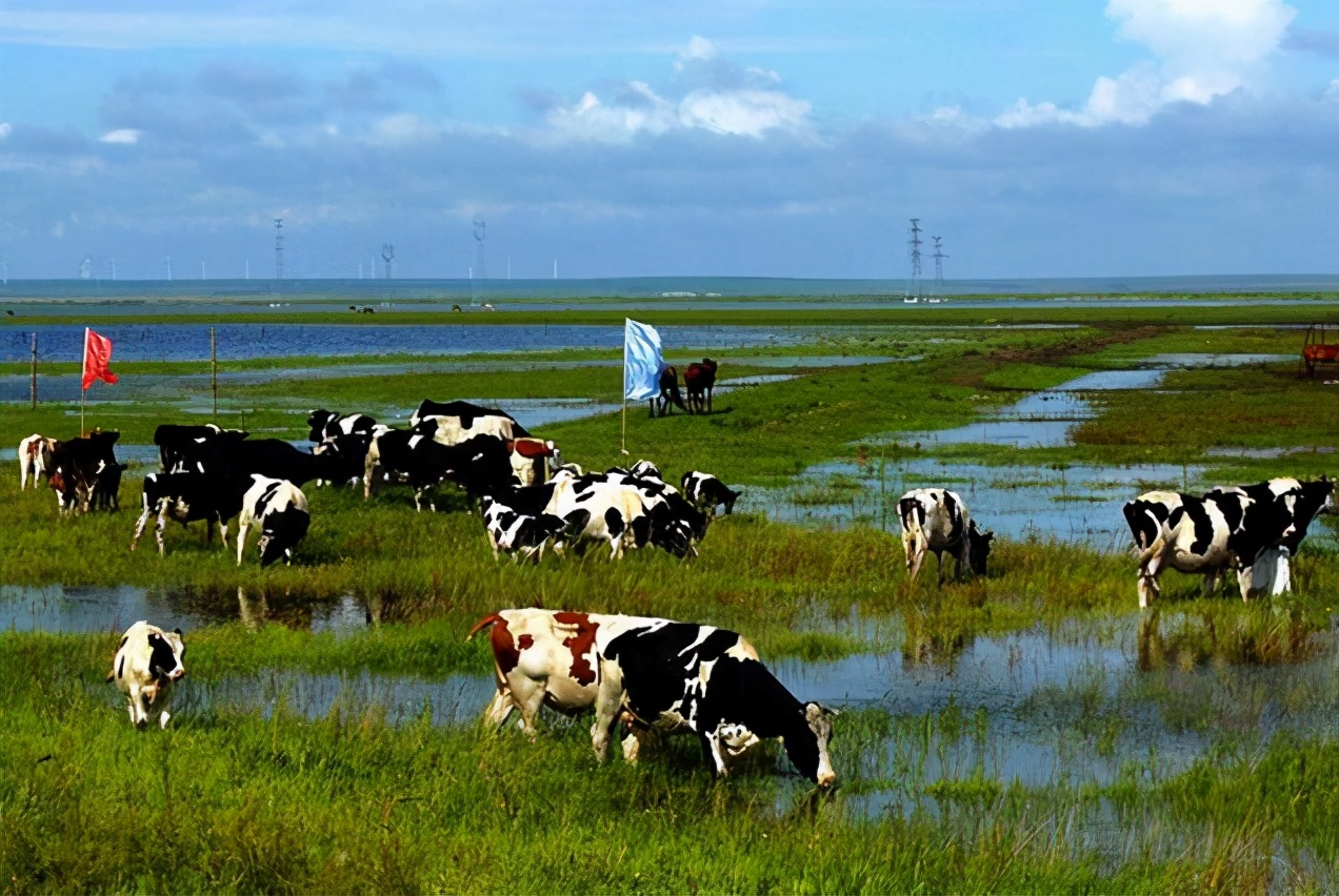 �й�ũҵ500ǿ��ҵ�ֲ����Ĵ������ո�61�ң����ɹ�10��