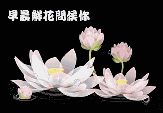 周末早安问候语祝福短信 正能量周末愉快的句子图片